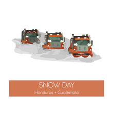 Load image into Gallery viewer, Snow Day